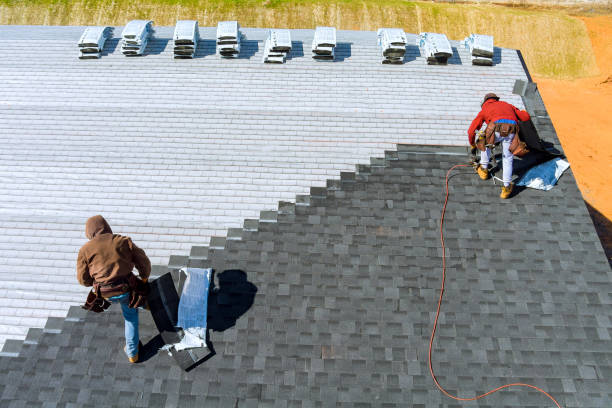 Best Roof Moss and Algae Removal  in Braddock, PA