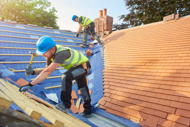 Best Asphalt Shingle Roofing  in Braddock, PA
